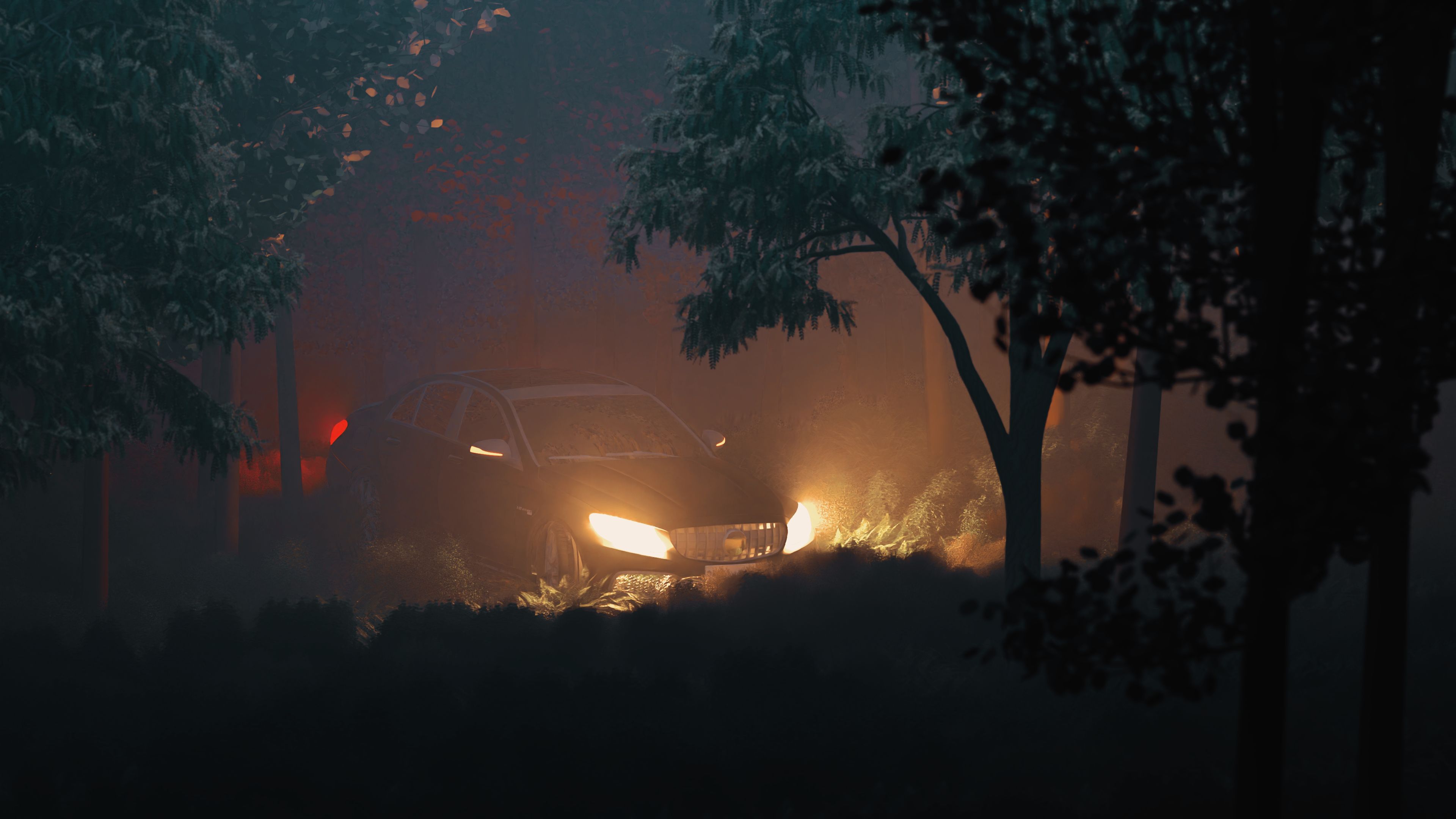 A car stuck in a deep forest, at night.