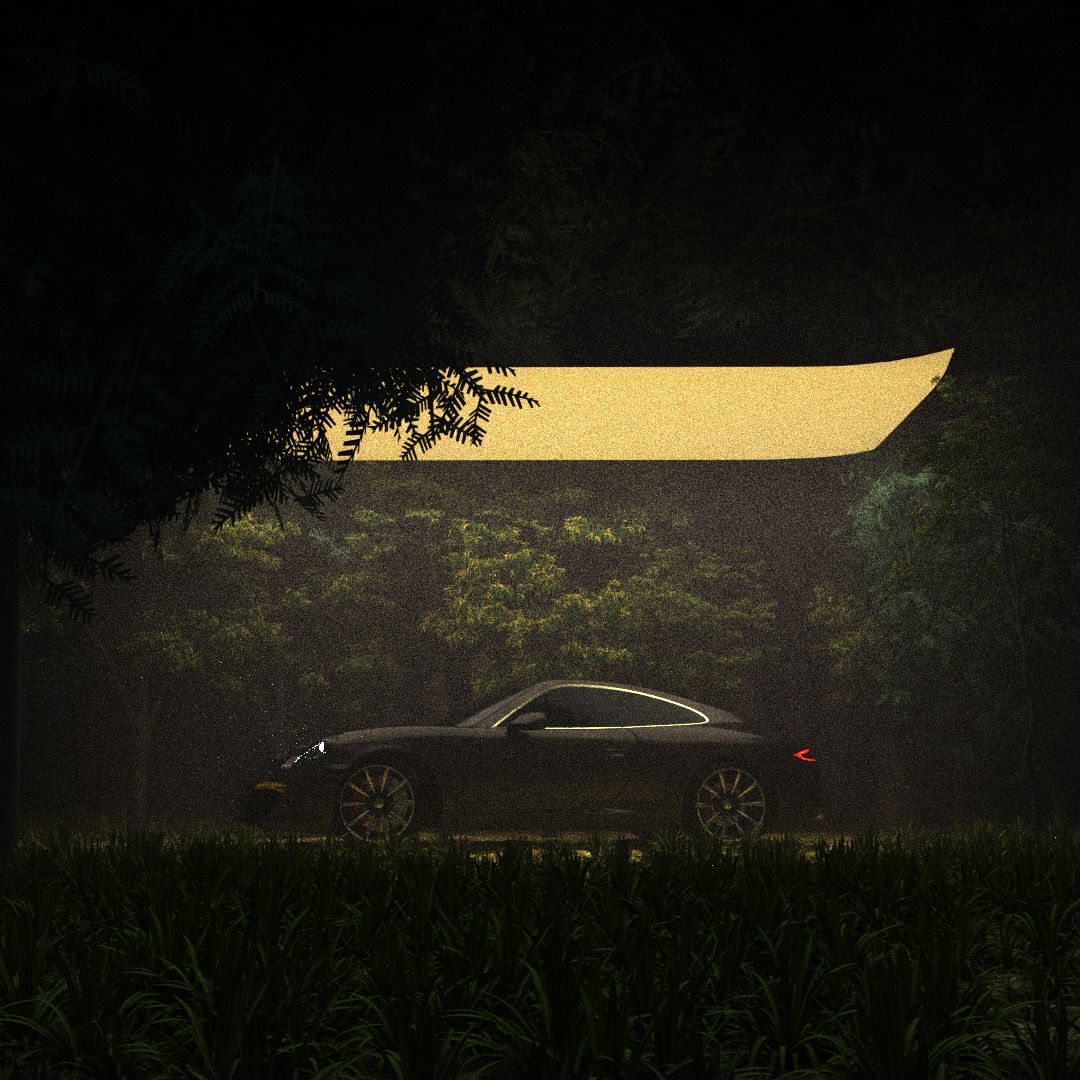 A wild porchse, in a deep forest